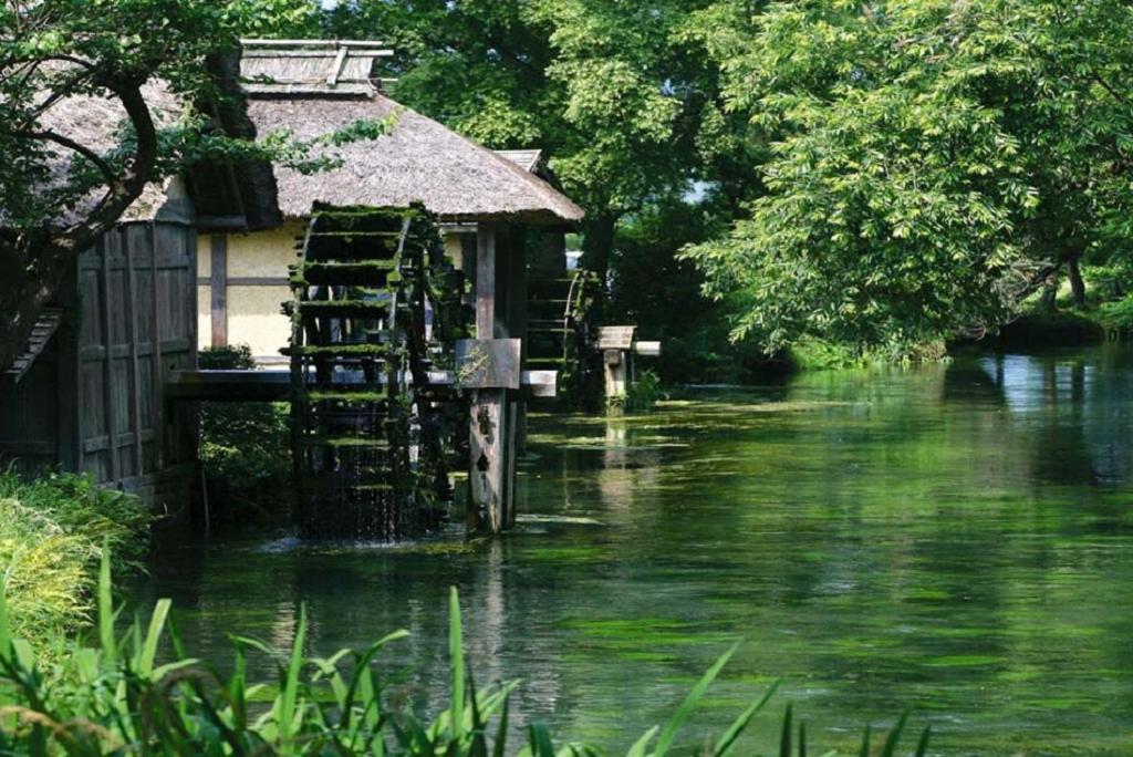 金剛寺 宿坊 成穂院 Matsukawa Exterior photo